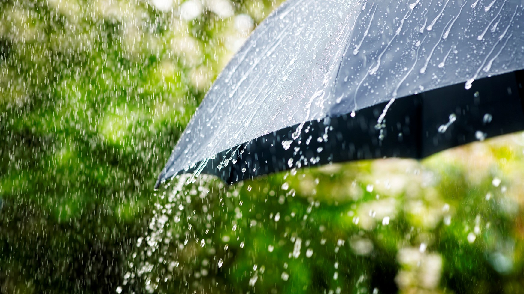 Rain falling of a black umbrella