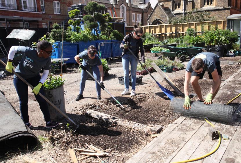 Four people digging up ground and using rakes